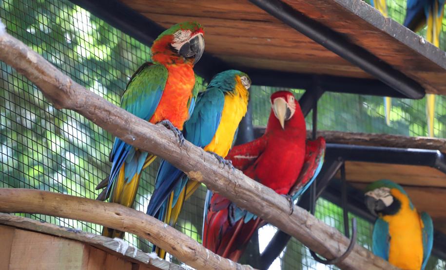 Parque das Aves